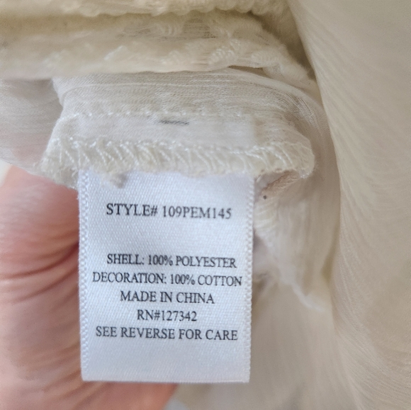 Ivory Embroidered Lace Sheer Cover Up - Picture 8 of 9